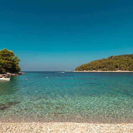 House Rosa - Home70 Metres Away From Picena Holiday home Vela Luka