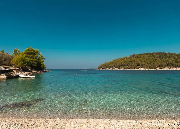 House Rosa - Home70 Metres Away From Picena Holiday home Vela Luka